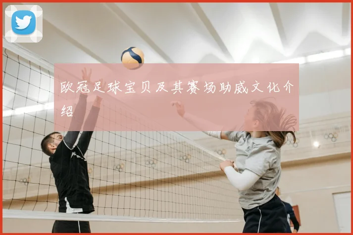 欧冠足球宝贝及其赛场助威文化介绍