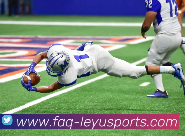 乐鱼官网发展历程